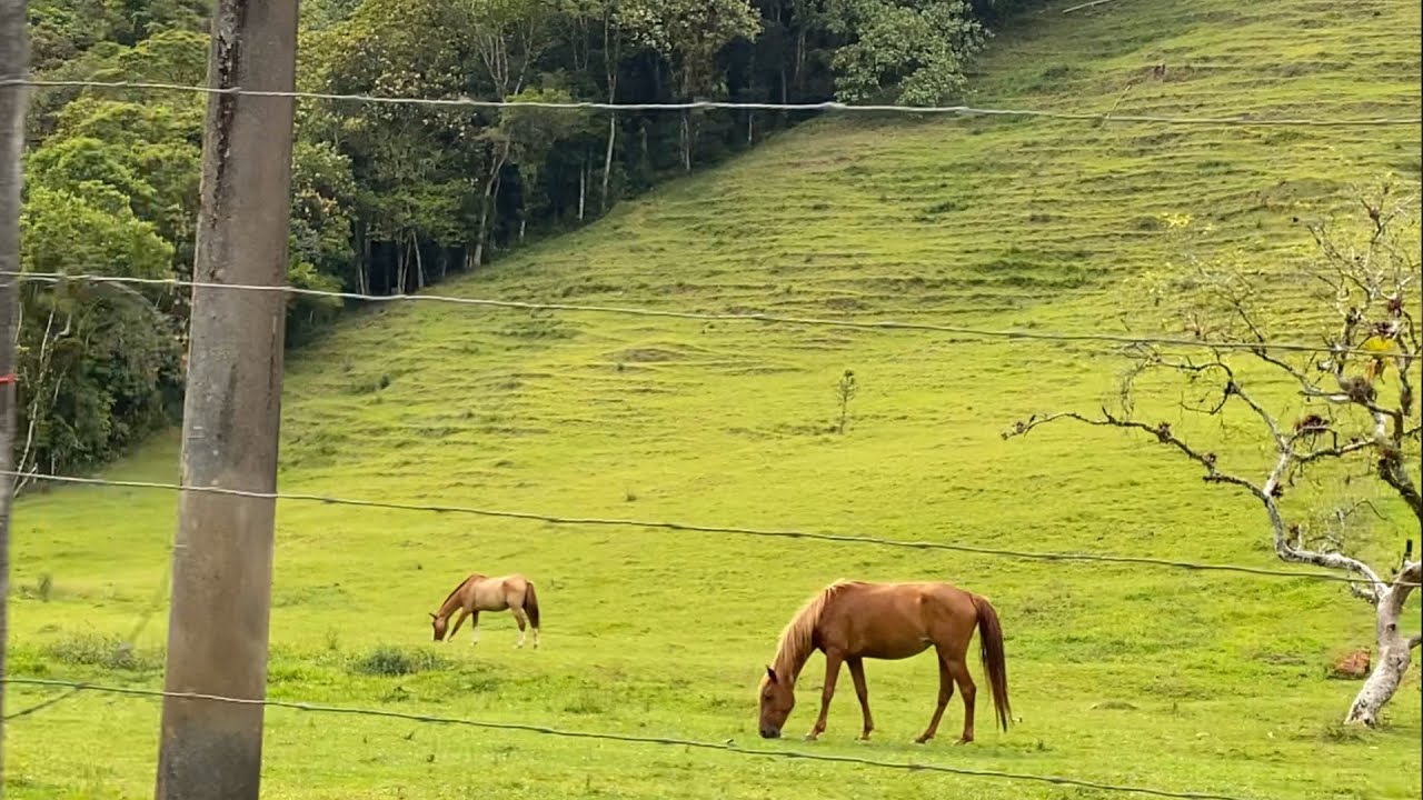 Beautiful Countryside Drive in Brazil (part 1)