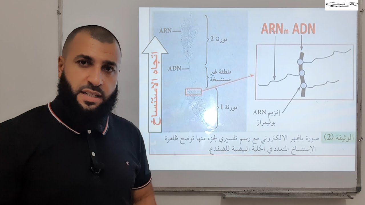 🛑 الفيديو 3 لوحدة تركيب البروتين: التركيب الكيمياءي ARN ومفهوم الاستنساخ المتعدد