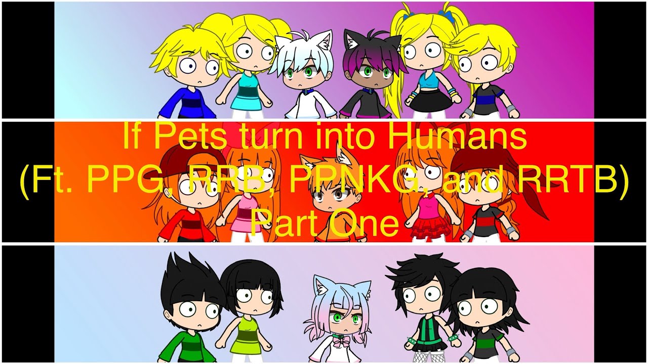 If Pets turn into Humans (Ft. PPG, RRB, PPNKG, and RRTB) Part One