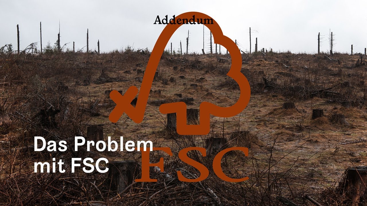 Was man über FSC und IKEA wissen sollte