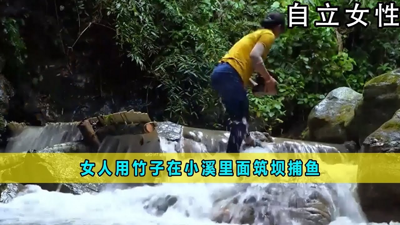 一口气看完合集版：女人用竹子在小溪里面筑坝捕鱼《自立女性》56-60合集版