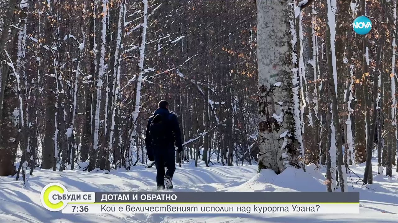 „Дотам и обратно”: Кой е величественият исполин над старопланинския курорт Узана - Събуди се