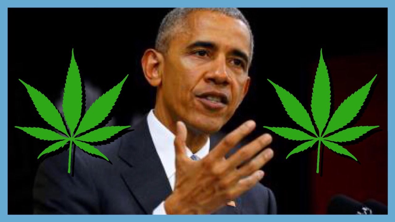 President Obama Says the End of Prohibition is Near?! | NewsNug recap | CoralReefer