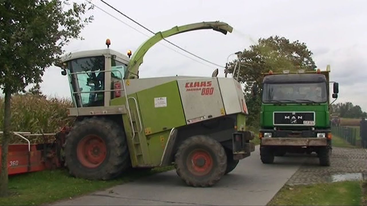 Maïs 2008 Loonbedrijf Luc Willems met MAN 6x6,Claas Jaguar 880,Dewa, Case IH CVX serie