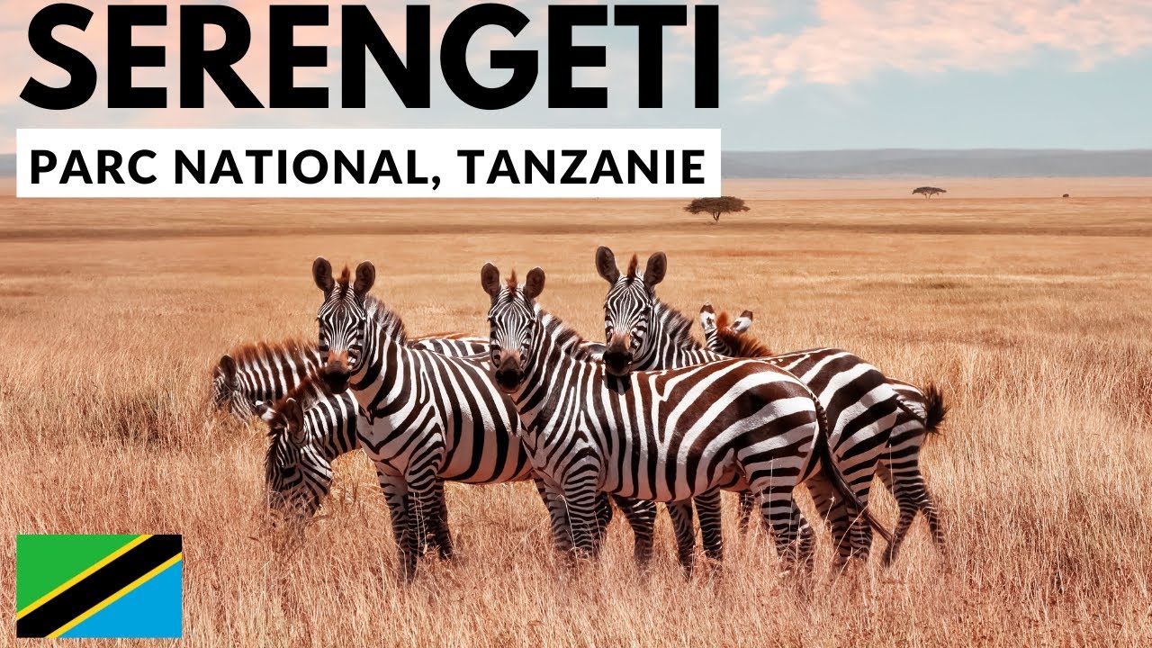 PARC NATIONAL DU SERENGETI | L'une des sept merveilles naturelles d'Afrique