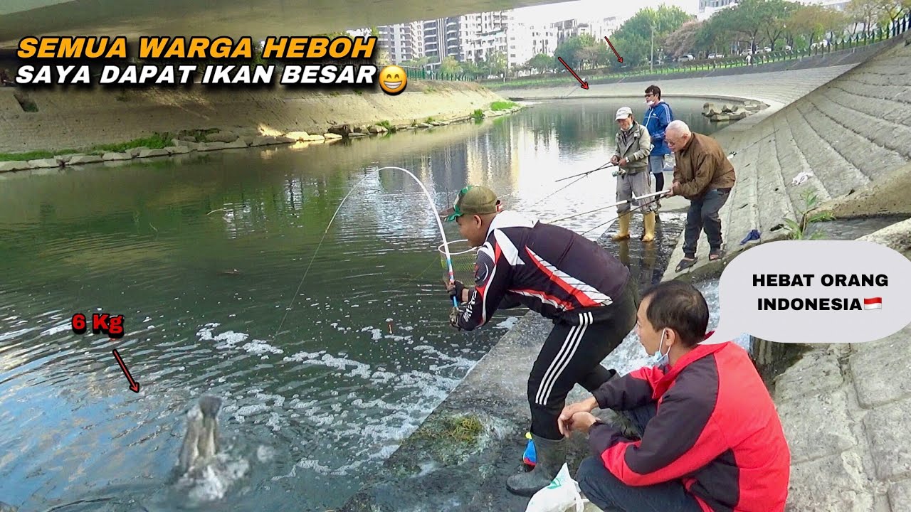 Asli Heboh..! Saat mancing di pinggir jalan dapat ikan besar sampai jadi tontonan