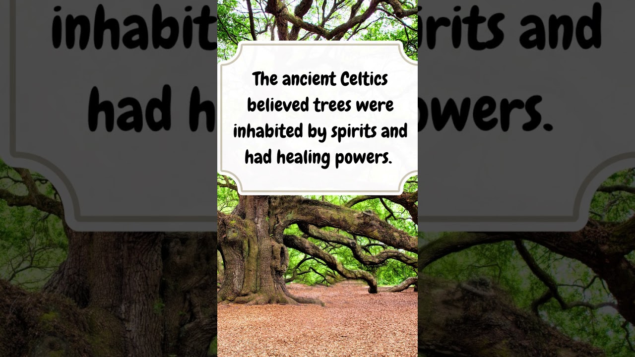 Touch Wood! What does it mean? #shorts