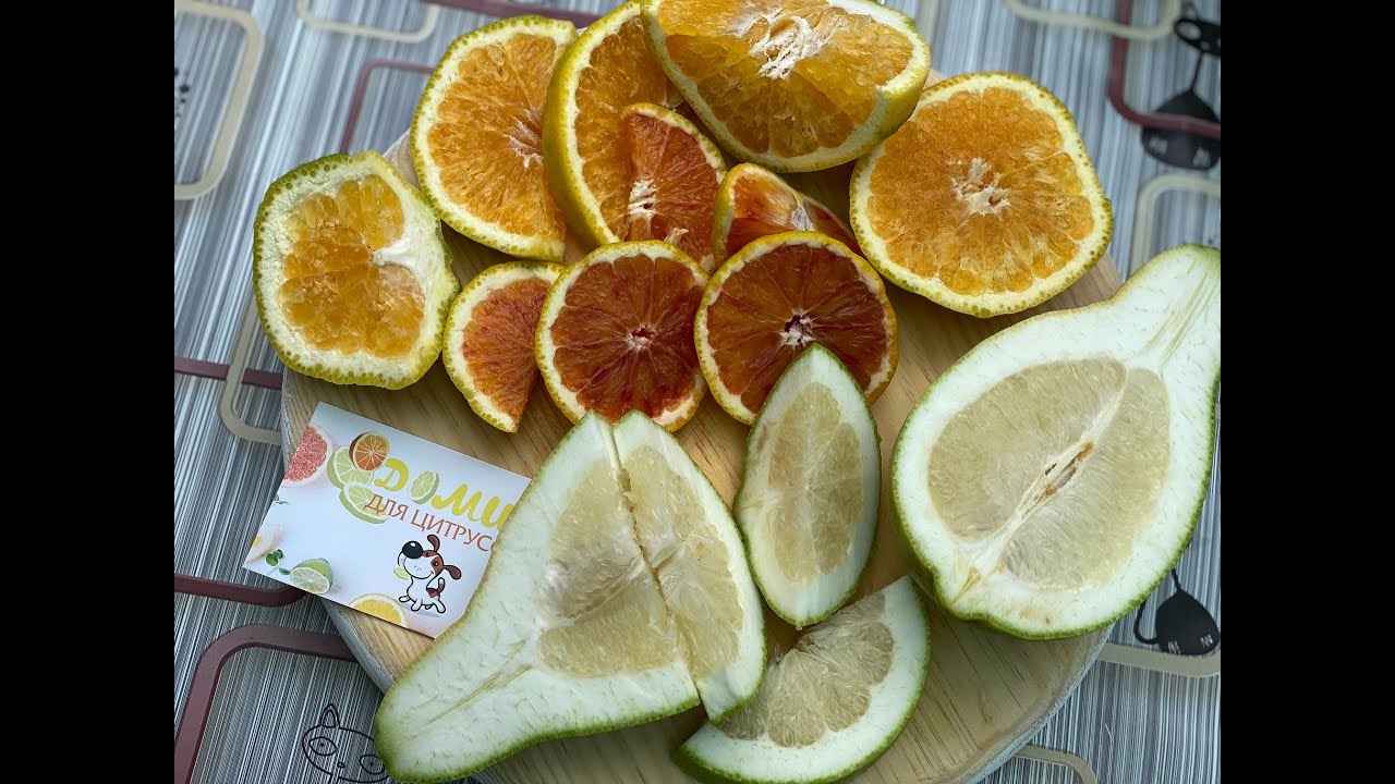 Вкусная минеола и так себе лумия 🏡🍊🍋