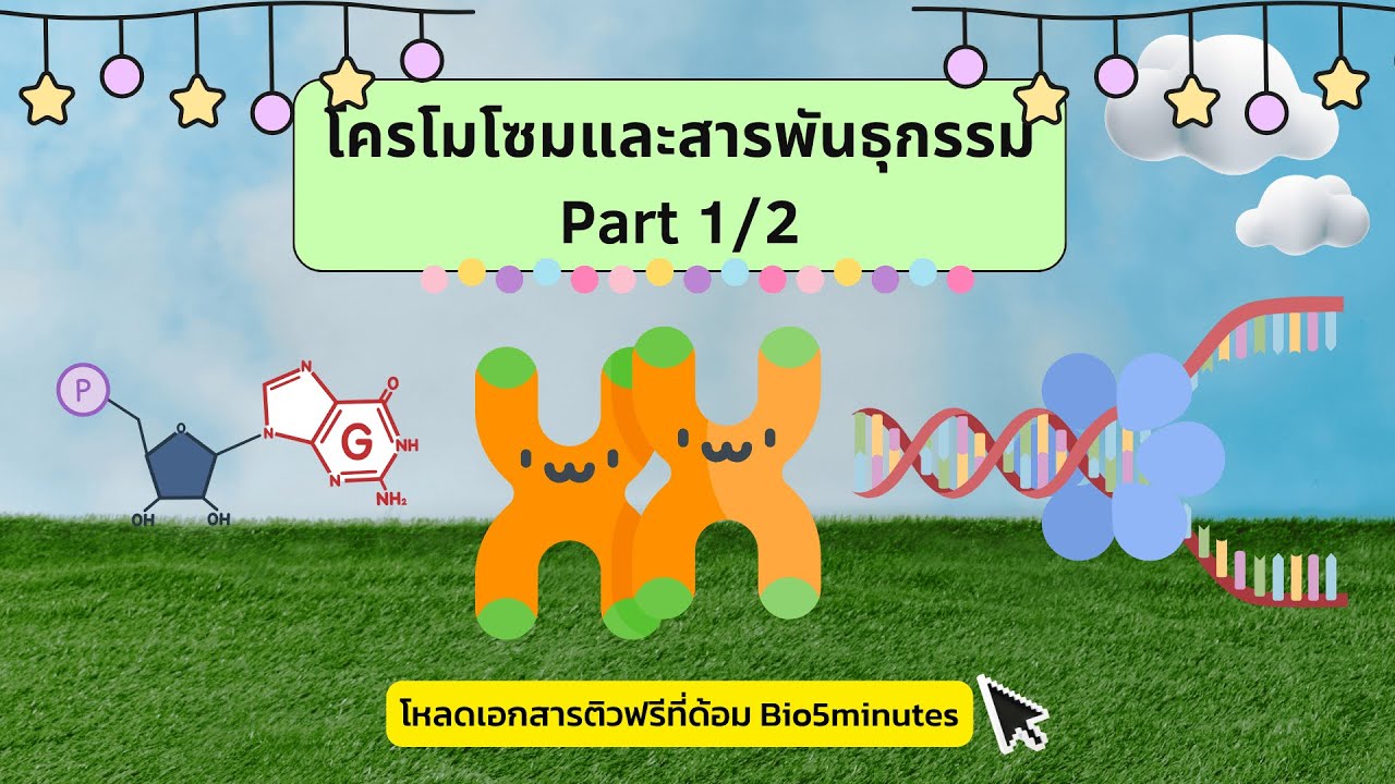 ติวฟรี โครโมโซมและสารพันธุกรรม Part1/2