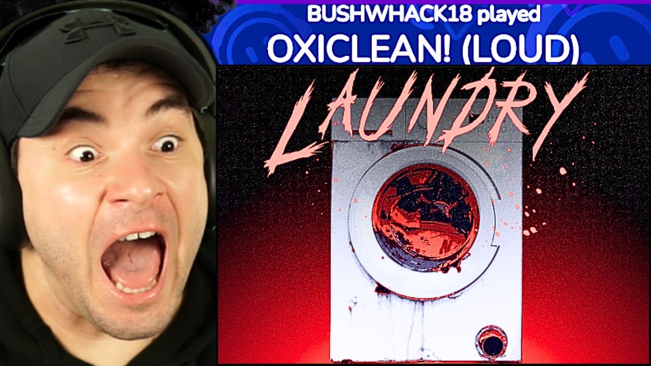 My Viewers Turned A Cursed Laundromat Game Into Meme Chaos!