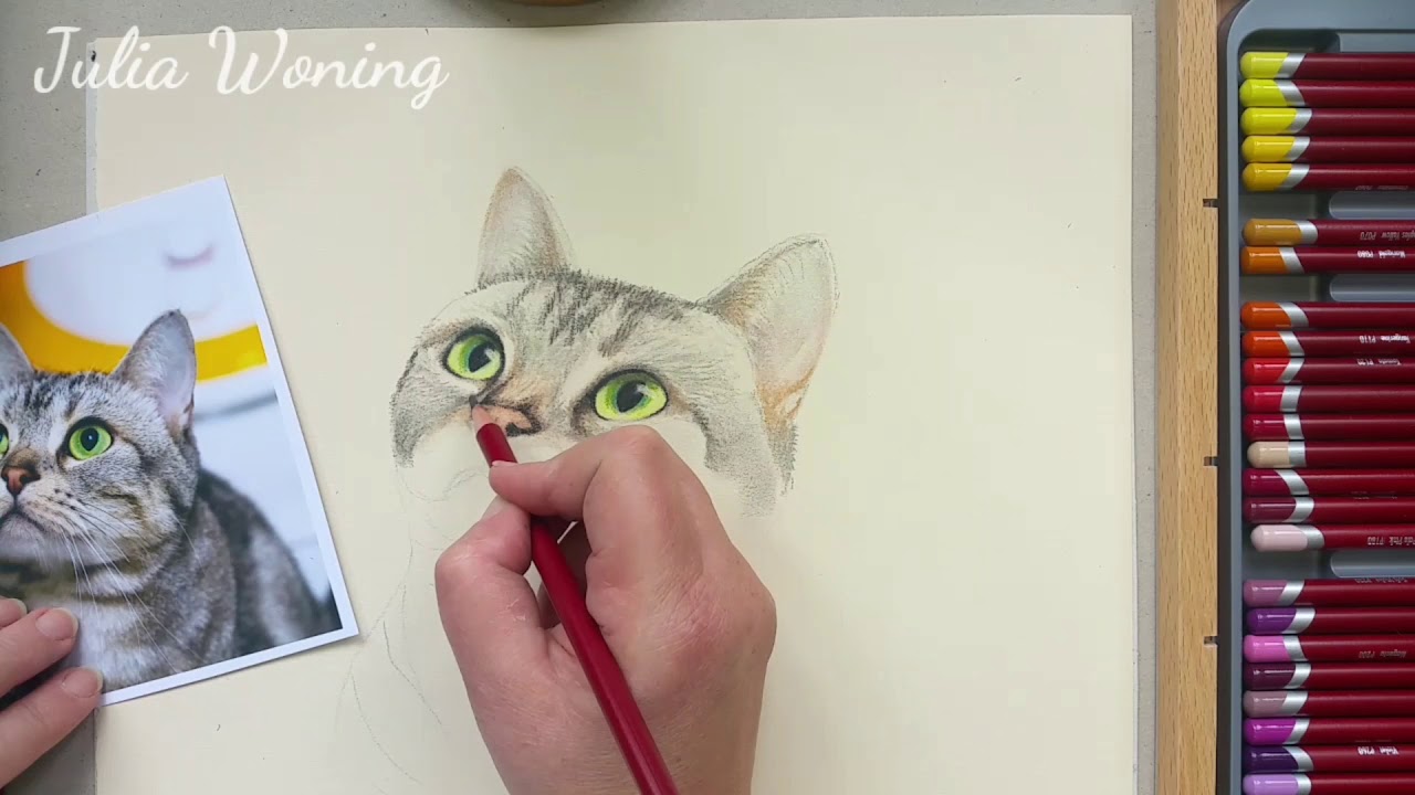 Pastel pencils Cat by Julia Woning