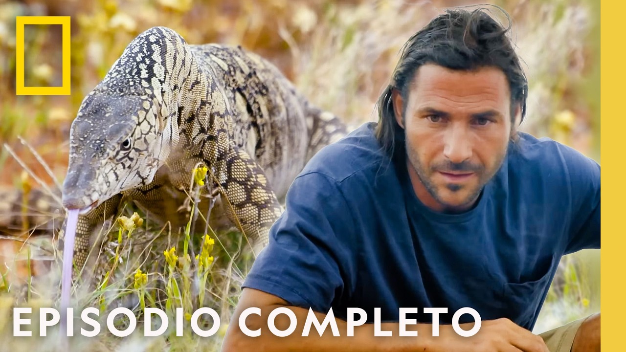 Desafío en el Desierto | Solo Contra El Mundo | Nat Geo en Español