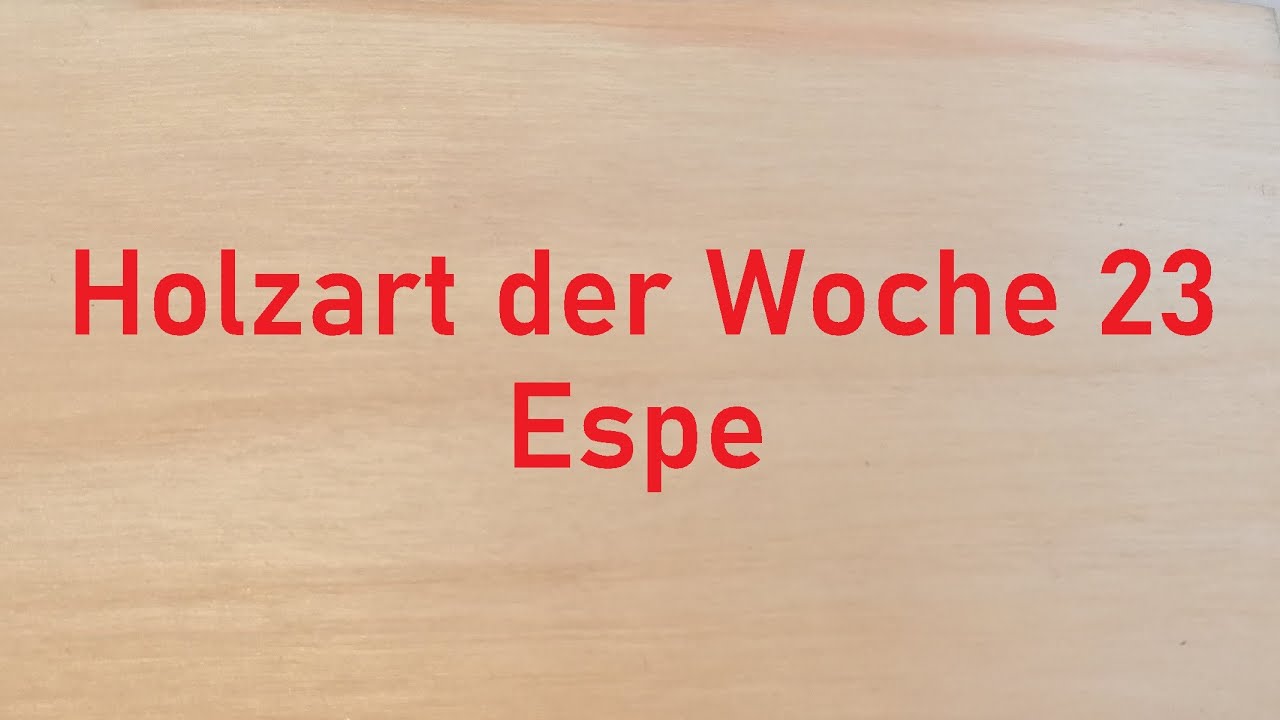 Holzbestimmung: Holzart der Woche 23 &ndash;  ESPE/ZITTERPAPPEL + Unterschied zwischen HART- & WEICHHOLZ