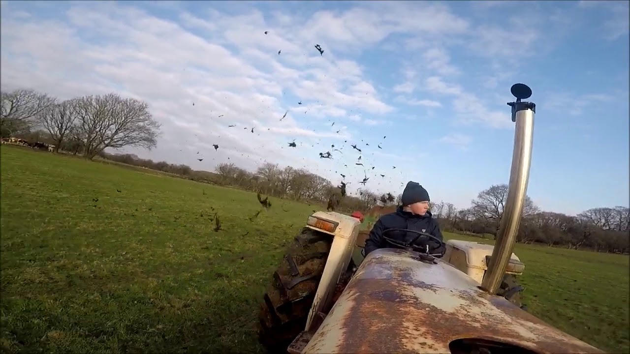 David Brown 996 Dung Spreading, Straight Pipe