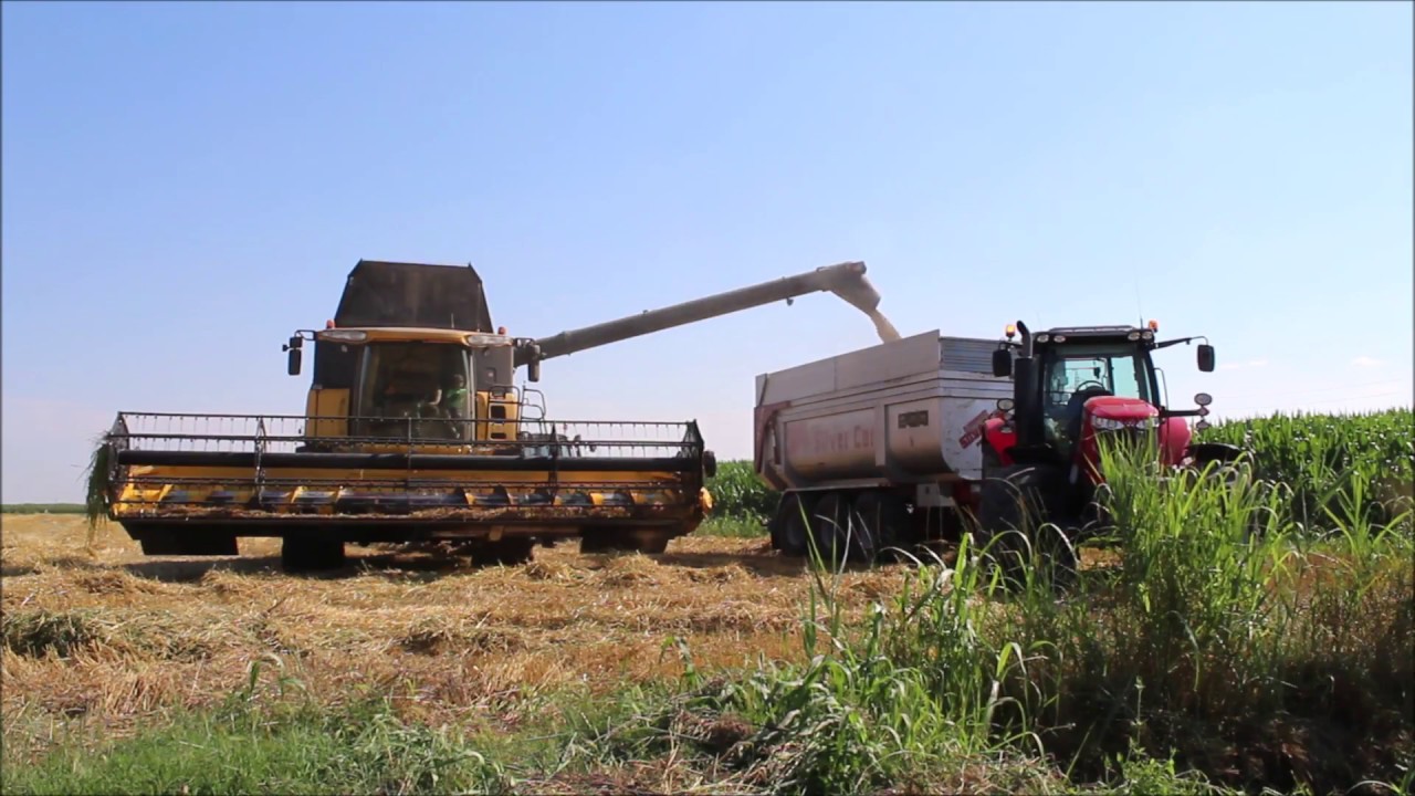 | TREBBIATURA FRUMENTO 2018 \ NEW HOLLAND CR 9090 YELLOW BULL |
