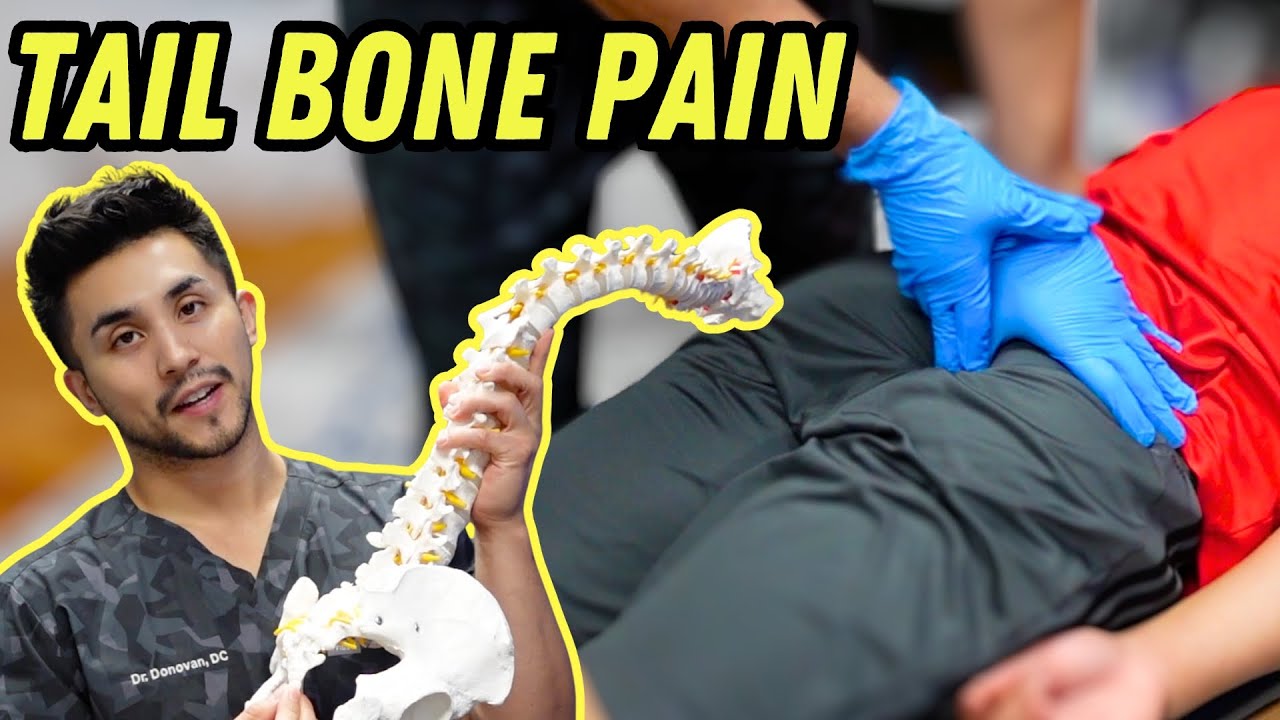 Young BOXER Comes In w TAIL BONE PAIN, Concussions, & Shoulder Pain | Treatment By Dr Donovan