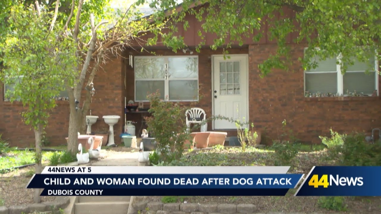 Child and woman found dead after dog attack