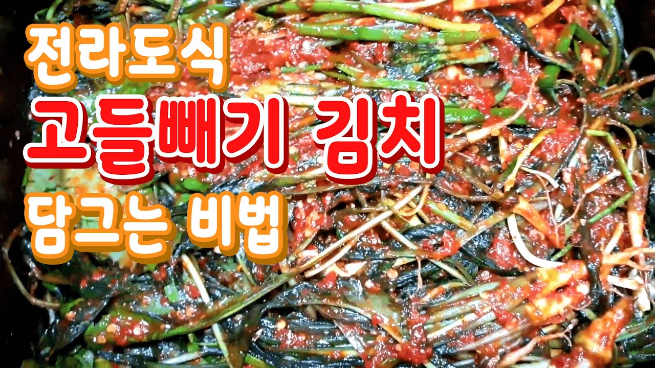 고들빼기김치  맛있게 담그는비법 ☆항암효과☆