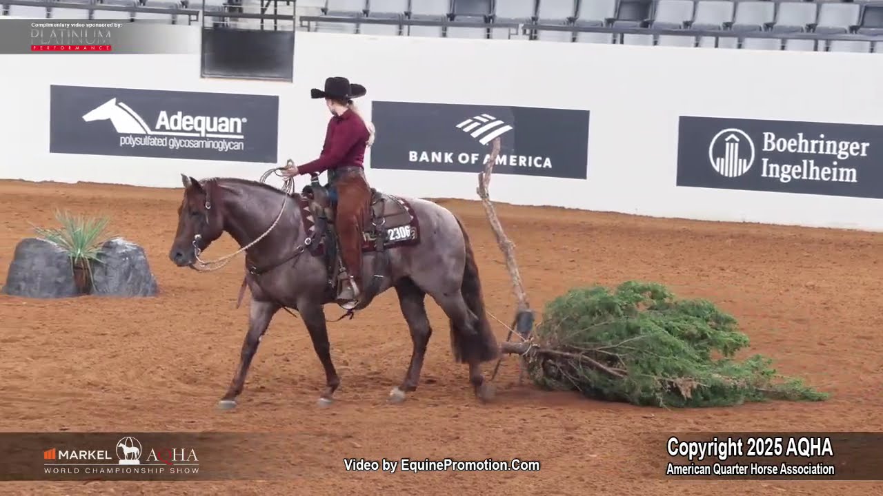 2025 Junior Ranch Trail World Champion