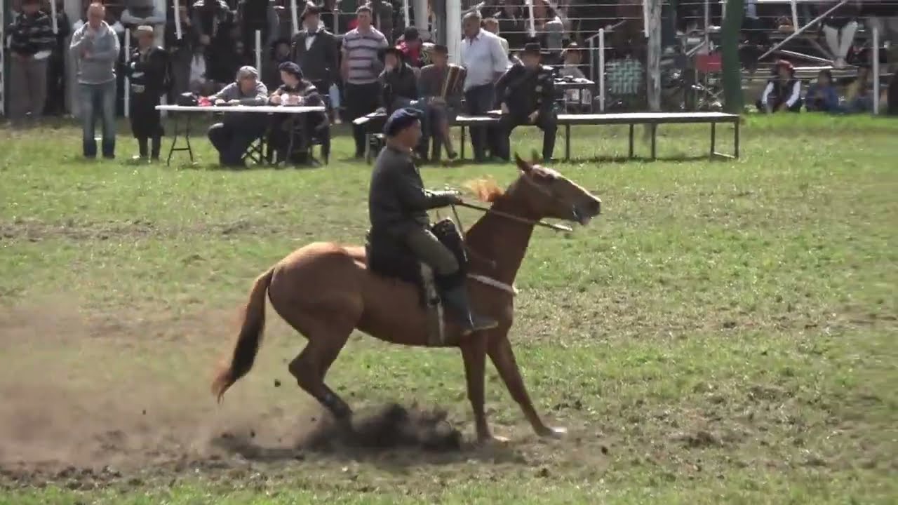 ✅Prueba de Rienda Potros Clasificados🛢️🐎‼️ TALAR 2024-Madariaga #domadordecaballos #pruebaderienda