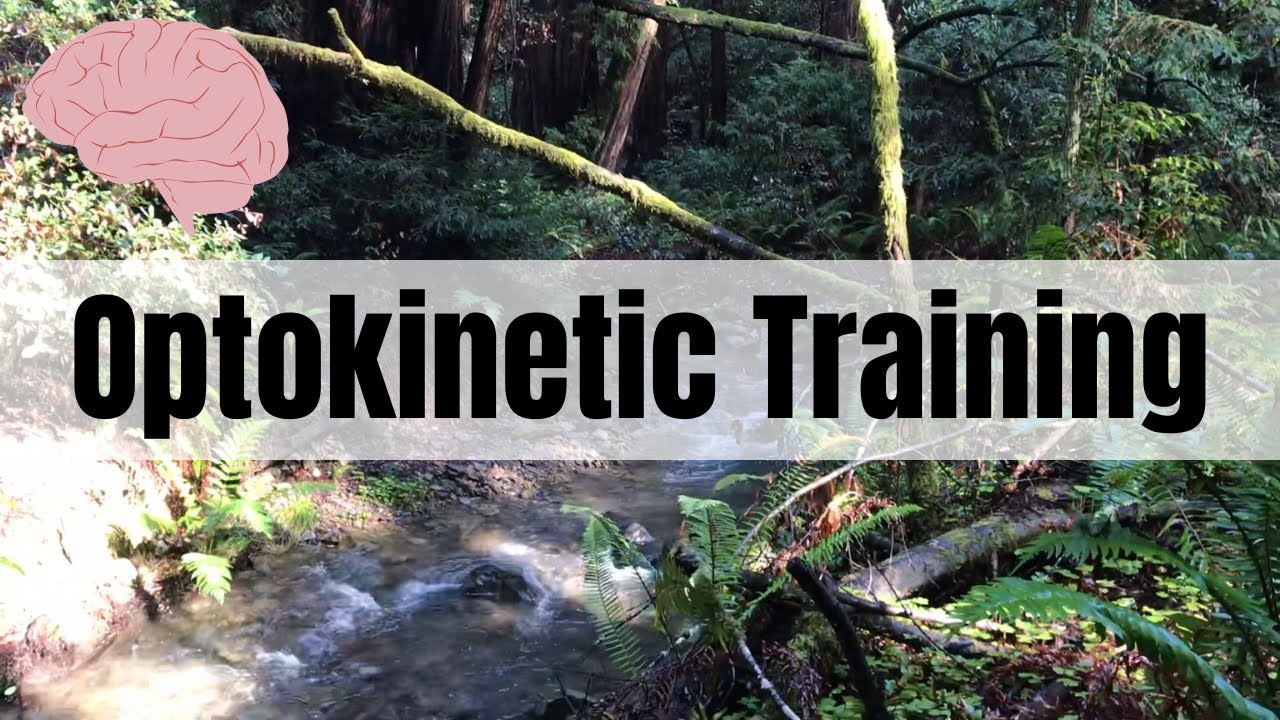 Optokinetic Training: Walking Through Muir Woods Forest (6:27)