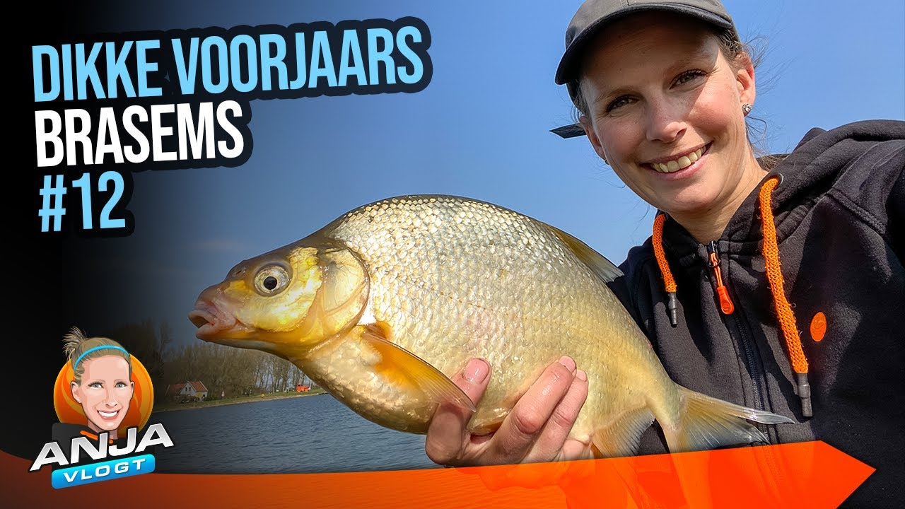 VOORJAARS BRASEMS MET DE VASTE STOK - #Vlog 12