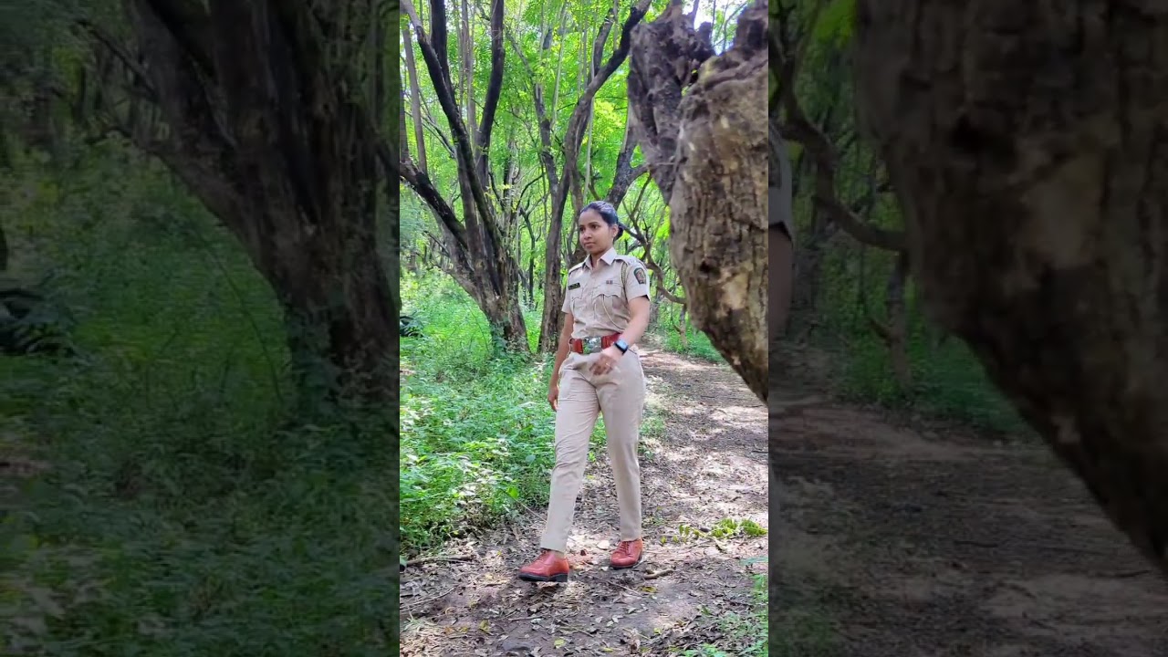 हे जंगल आपले आहे, रक्षणही आपलेच काम आहे. #वनरक्षक #vanrakshak #vanrakshakbharti #वनरक्षकभरती
