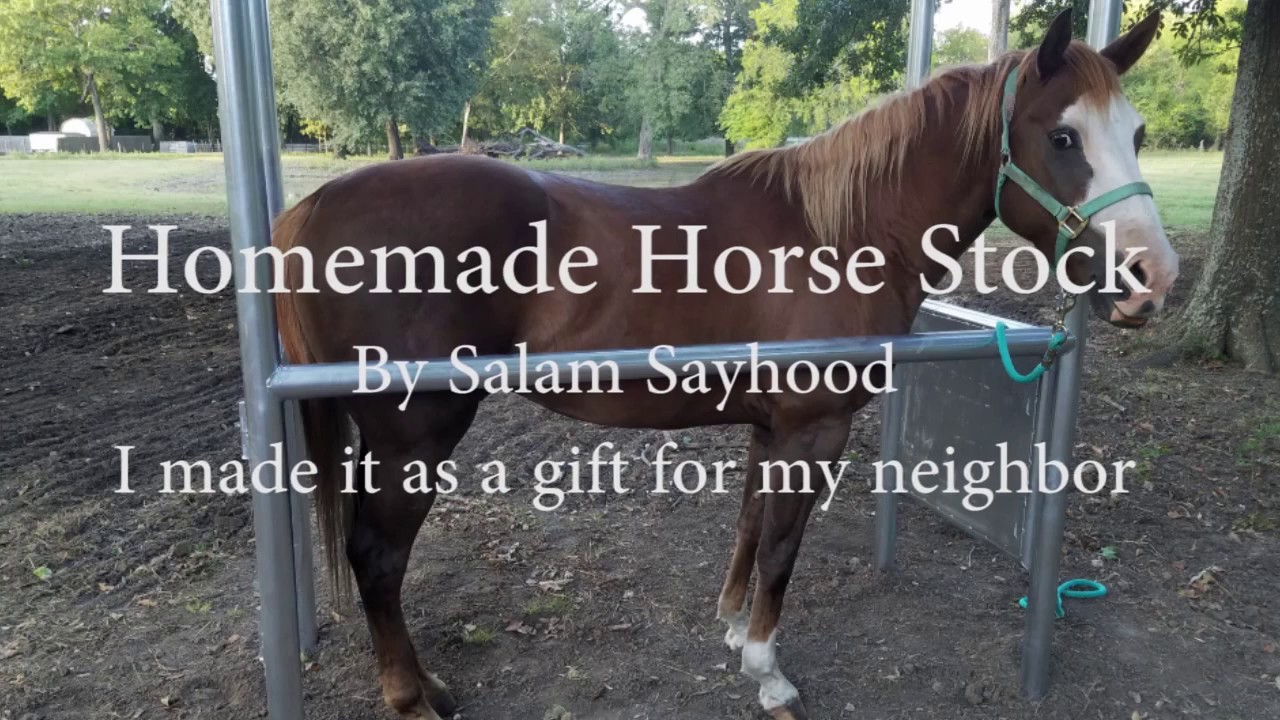 Homemade Horse Stock