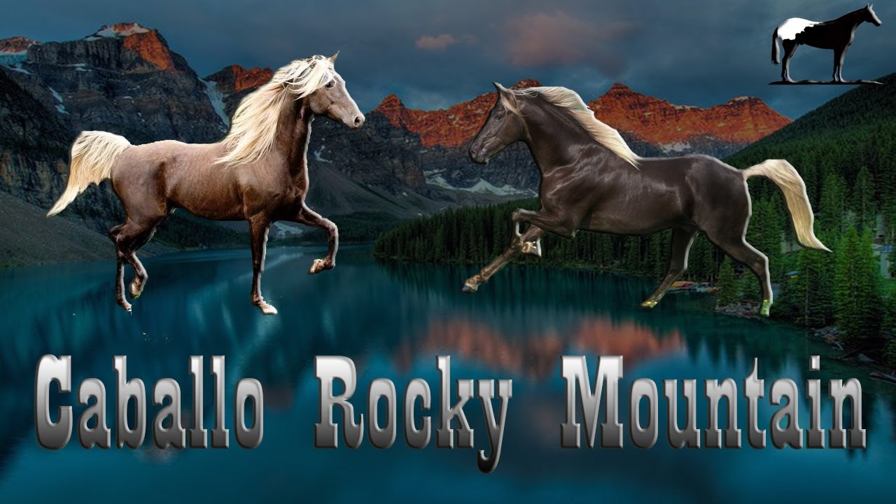 El Caballos Mas FACIL De Domar 🐴-Del Cerro Soy
