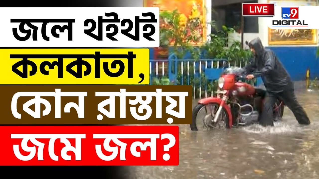 WEATHER BREAKING | কলকাতার জল যন্ত্রণার ছবি | HEAVY RAIN | DEPRESSION | KOLKATA WATERLOGGED | #TV9D