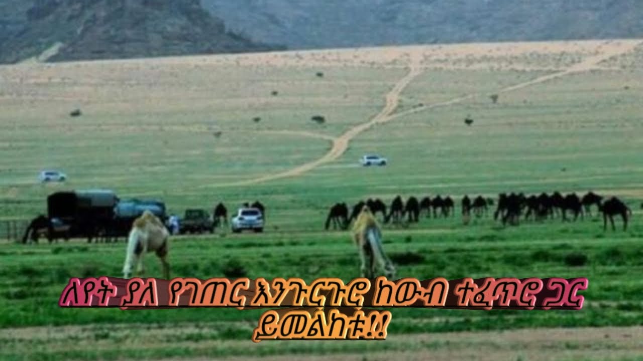 ለየት ያለ የገጠር  እንጉርጉሮ ከውብ ተፈጥሮ ጋር ይመልከቱ ¶ ሰብስክራይብ በማድረግ ቤተሰብ ይሁኑ #fetadaily #ebs #ethiopia #m_ethio2