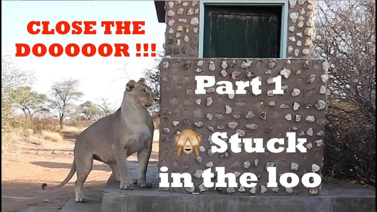 2024 Kgalagadi Rooiputs, Polentswa & Mpayathutlwa Part 1: Discover Botswana side of the Kgalagadi