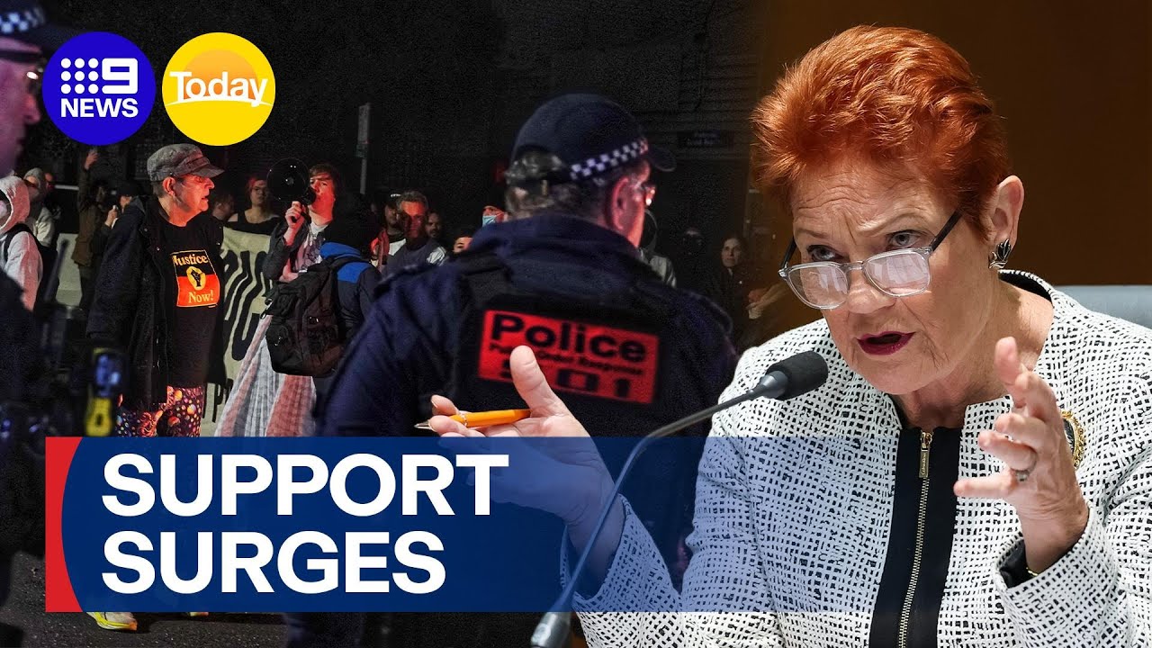 Pauline Hanson raises $5 million in 'fire the liar' campaign | 9 News Australia