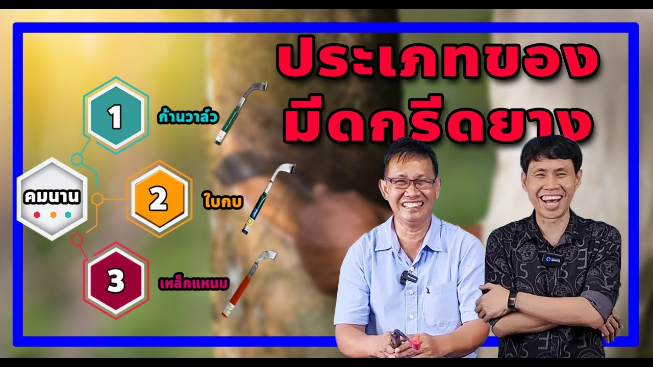 มีดกรีดยางพารา แต่ละประเภท ลับง่าย คมนาน แค่ไหนไปดูกัน!!