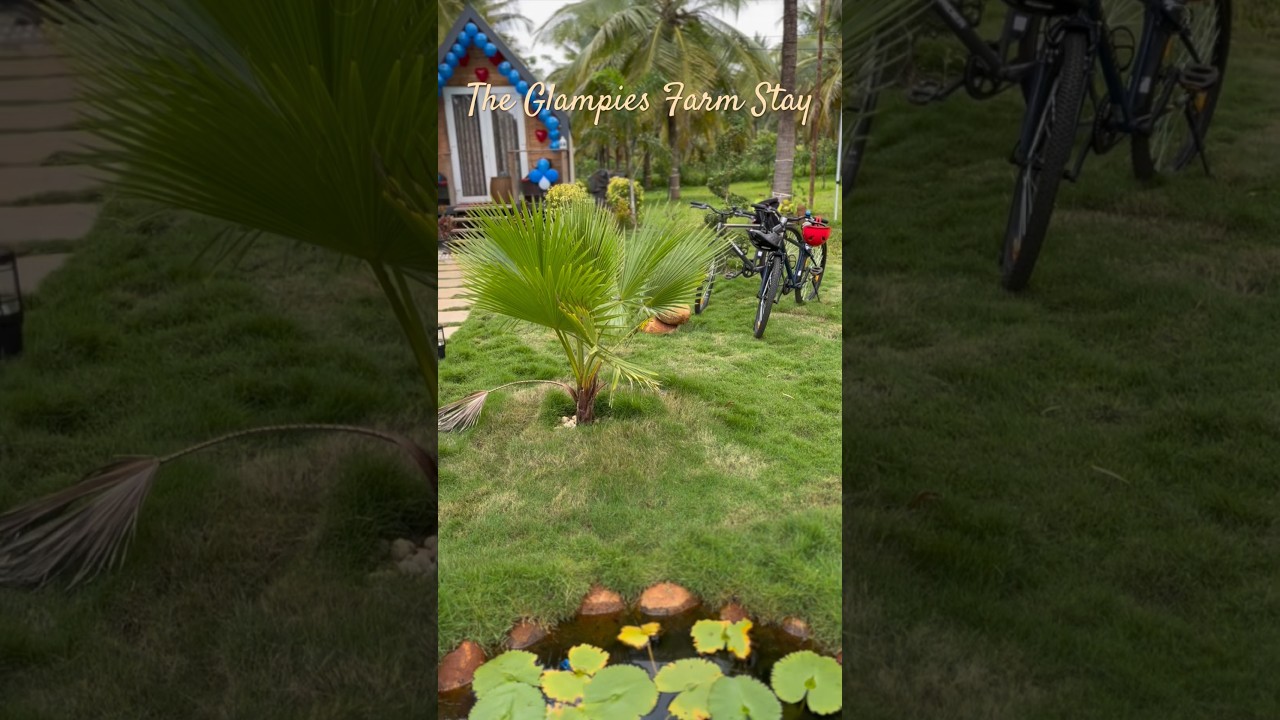 Farm Stay and Glamping near Bangalore in just 70 KM #weekendgetaway #shorts #youtubeshorts #trending