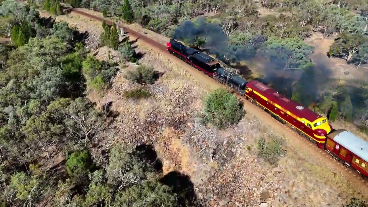 Picnic Train Junee to Cootamundra Steam Train
