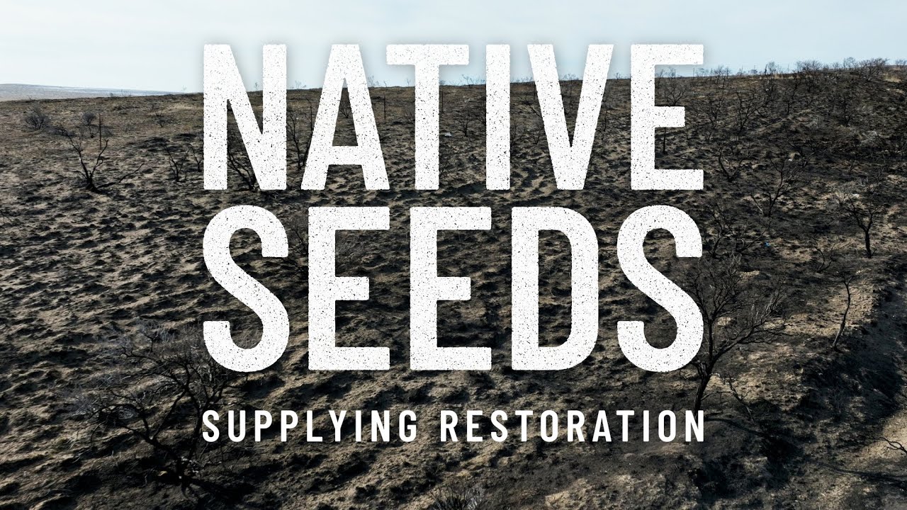 Native Seeds: Supplying Restoration - Introduction