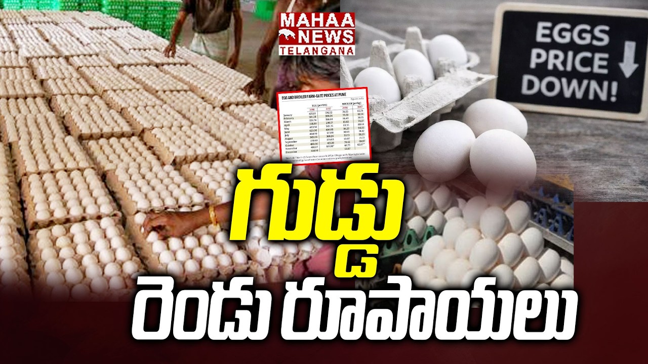 గుడ్డు రెండు రూపాయలు | Eggs Rates Fall Down In India Due To Iran Israel War Effect | Mahaa Telangana