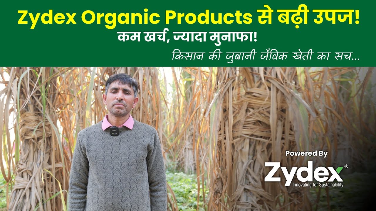 Success Story: Zydex के उत्पादों के साथ गन्ने की सफल जैविक खेती | कम खर्च, ज्यादा प्रोडक्शन
