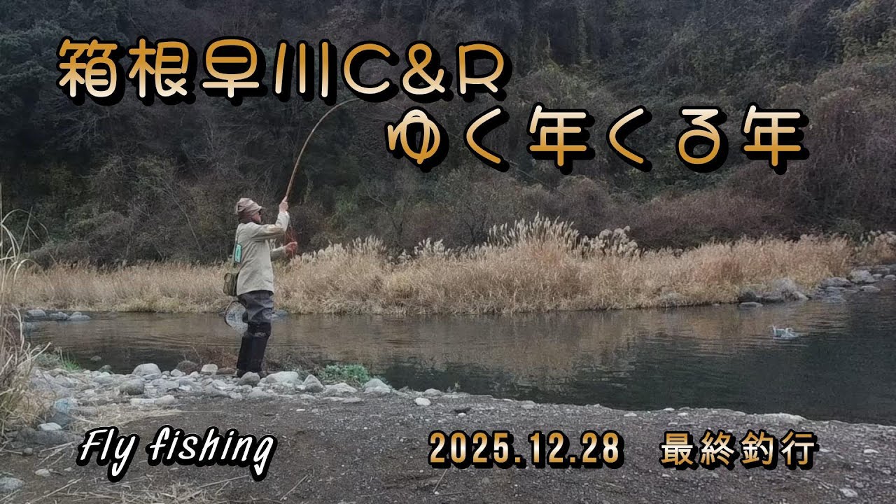 箱根早川C&R　ゆく年くる年　2025最終釣行　Flyfishing　Rise縛り