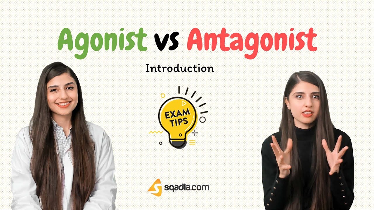 Agonist vs Antagonist | Drug Receptor Affinity | Neurotransmitter | Introduction