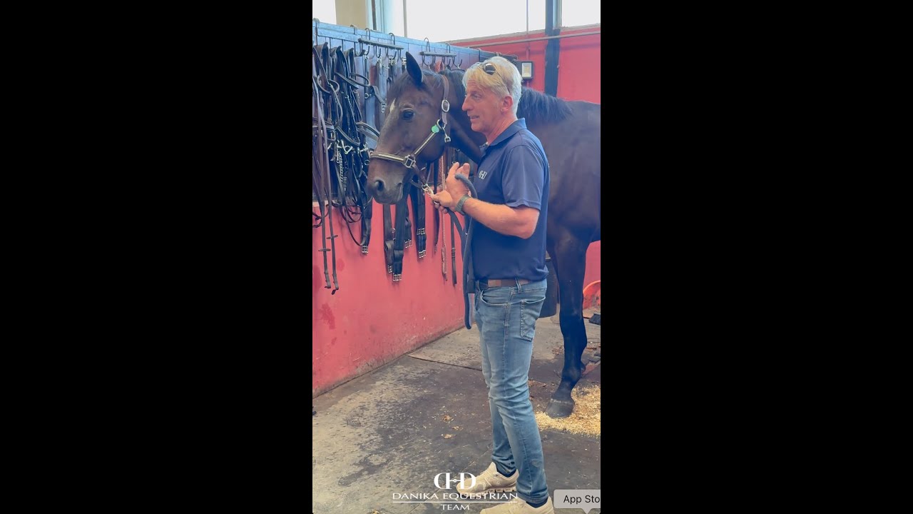 DANIKA EQUESTRIAN TEAM – CORSO PER IPPO-GENITORI 🐴