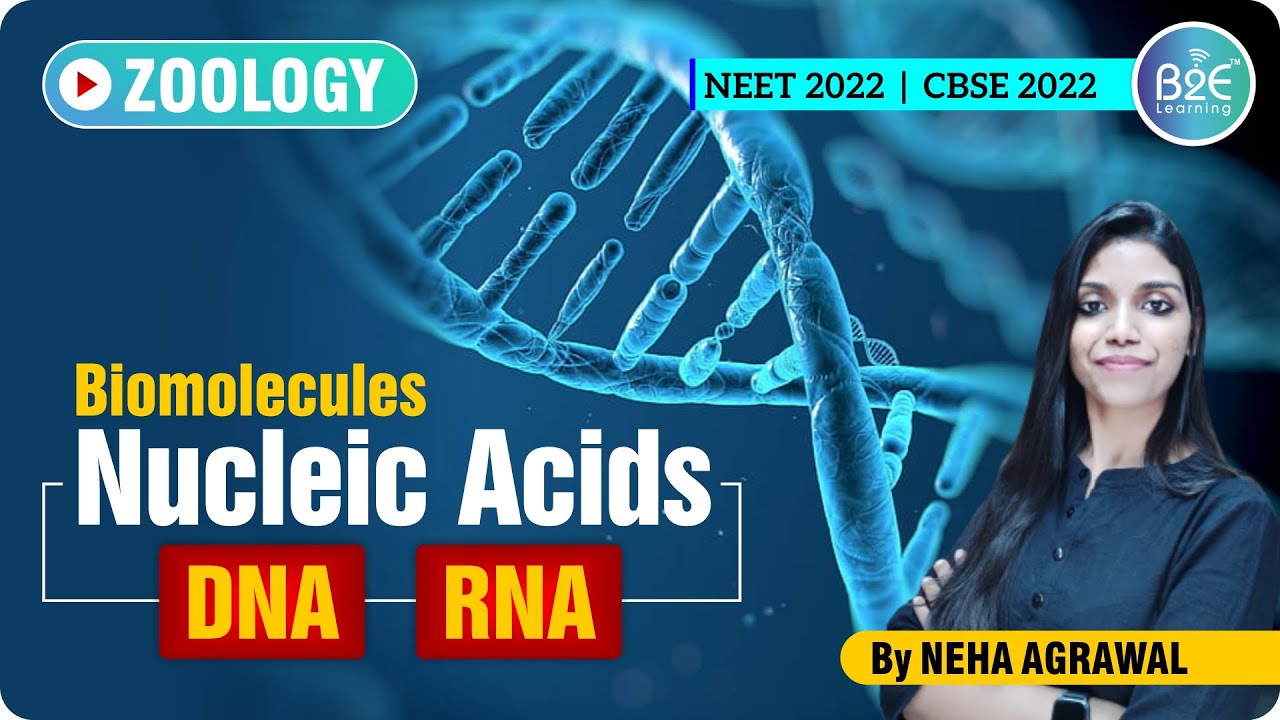 BIOMOLECULES | NUCLEIC ACIDS | NEET BIOLOGY