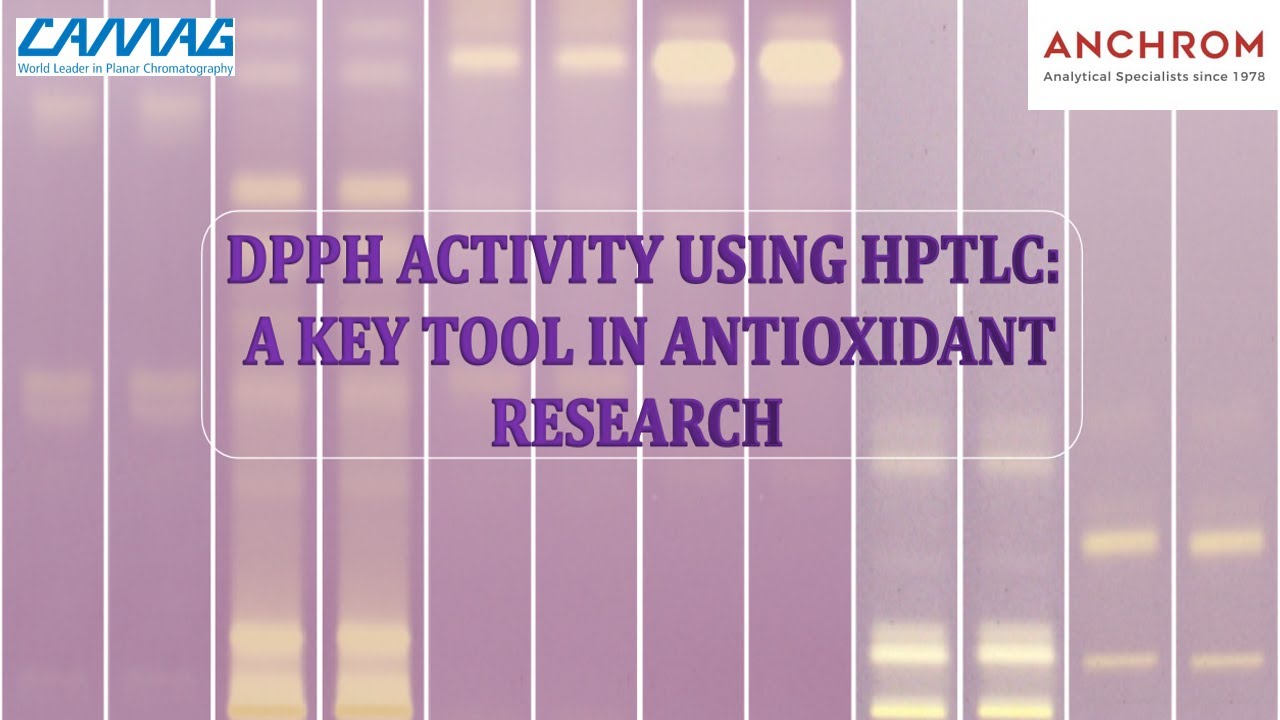 DPPH Activity using HPTLC: A Key Tool in Antioxidant Research | Anchrom | CAMAG
