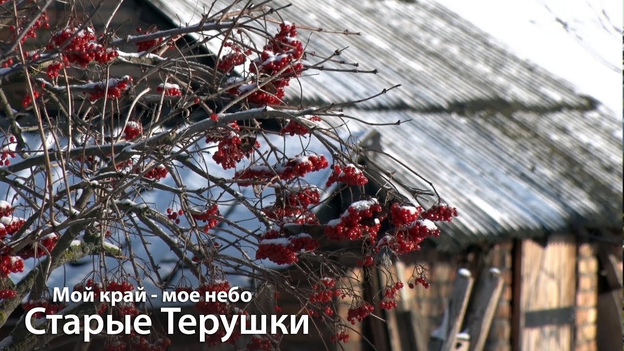 Мой край - мое небо. Выпуск от 28.11.2018