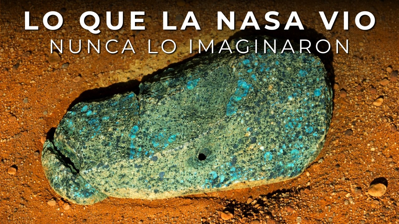 Por qué estas rocas en Marte sorprendieron más que nada a los científicos de Perseverance