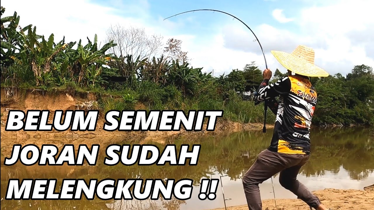 Spotnya luar biasa langsung diberi baung kuning babon 3KG !