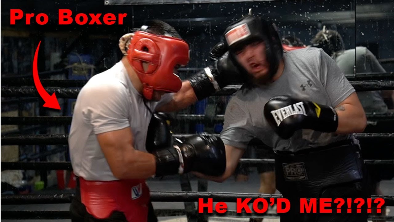 I Fought a Pro Boxer !?!?! (Albert 