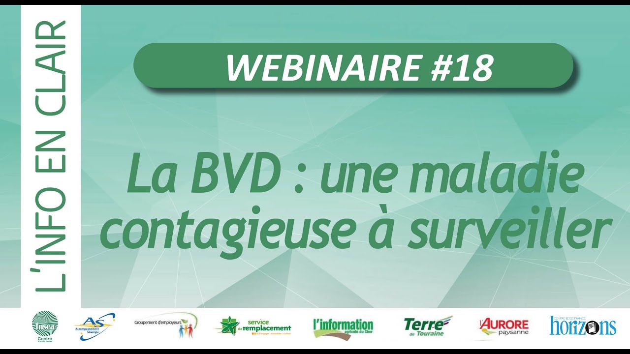 Webinaire #18 : BVD