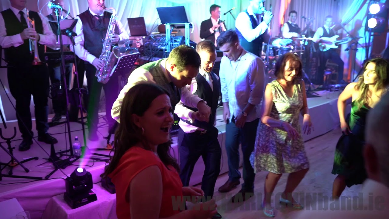 Stephen & Sinead, Harlequin Wedding Band